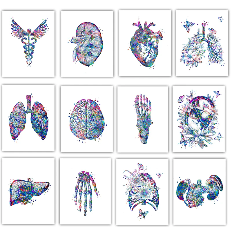Anatomy Medical Poster Flower  – Medical Lab Pictures recenzja i cena