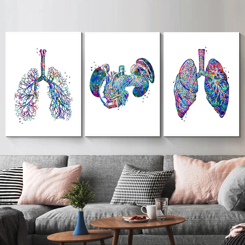 Anatomy Medical Poster Flower  – Medical Lab Pictures recenzja i cena