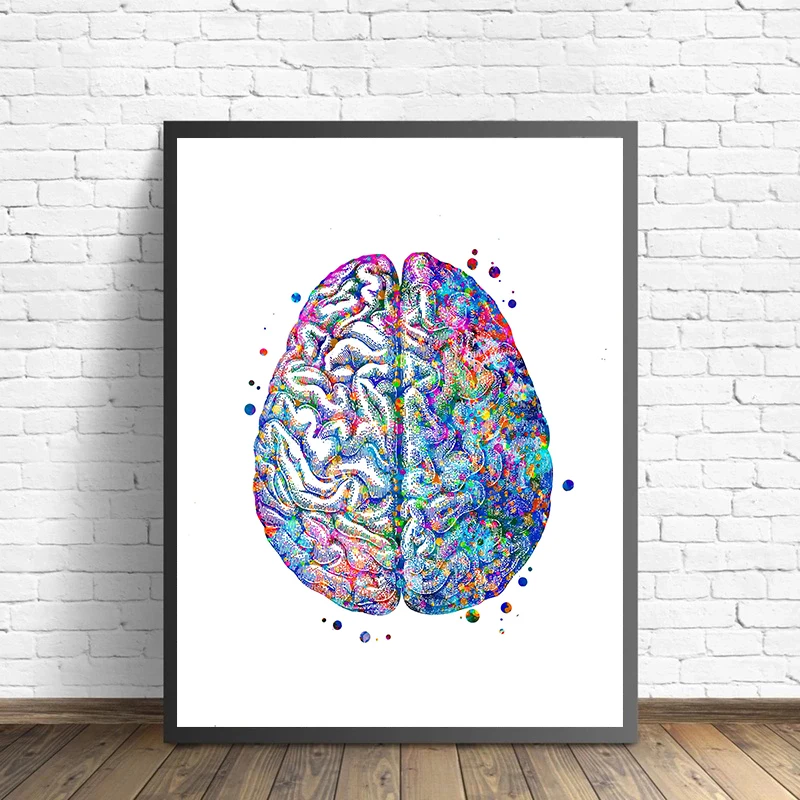 Anatomy Medical Poster Flower  – Medical Lab Pictures recenzja i cena