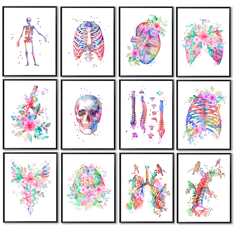 Anatomiczny plakat medyczny, k – Medical Lab Pictures recenzja i cena