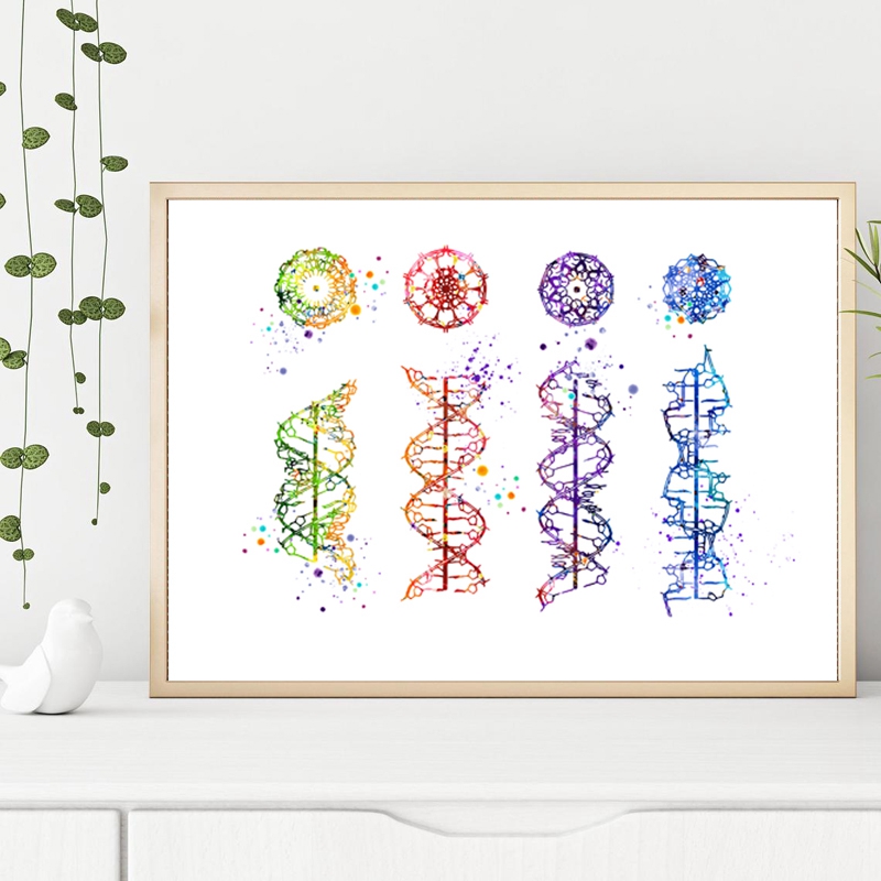 DNA Molecule Print Modern Medi – Medical Lab Pictures recenzja i cena